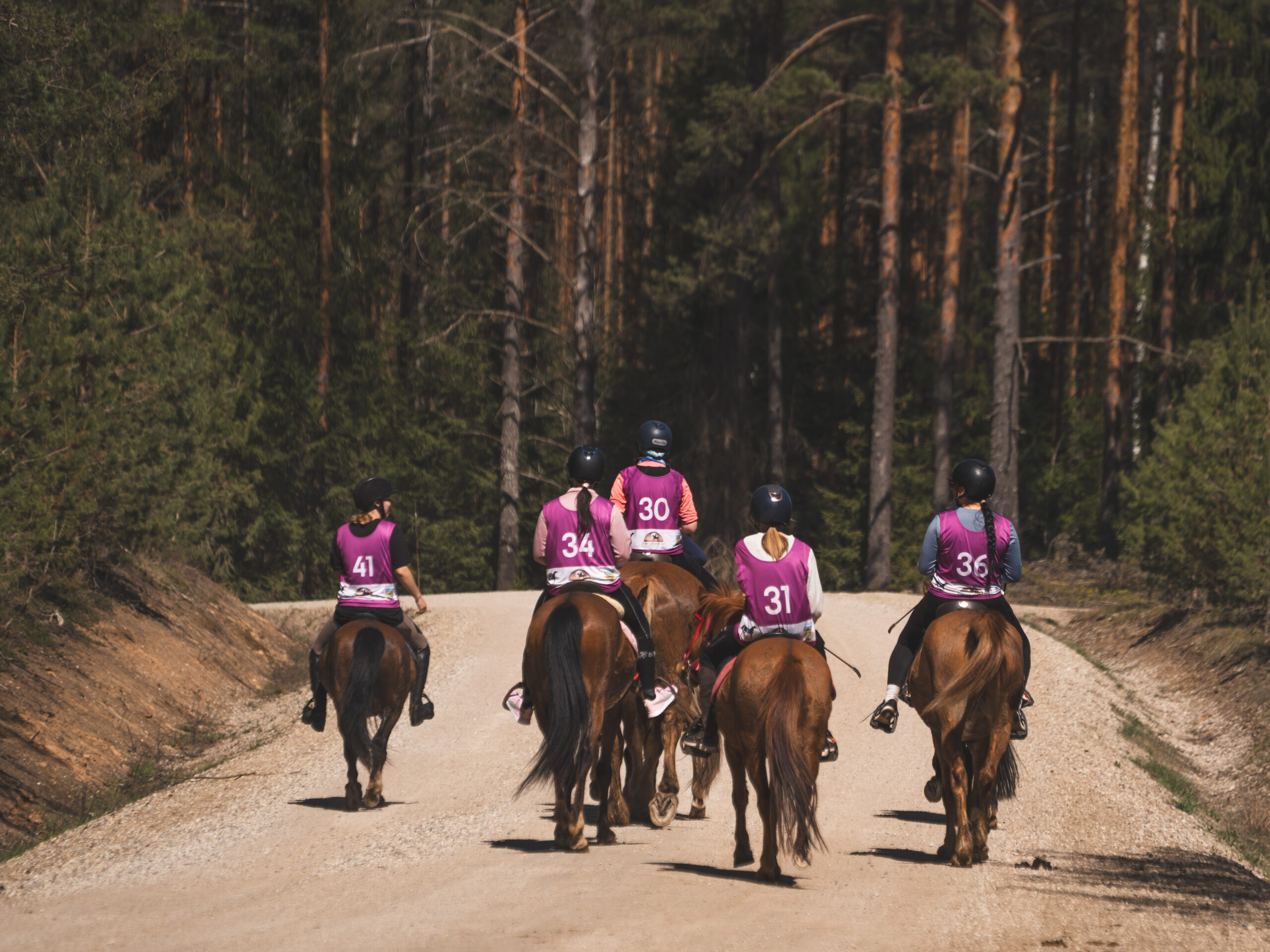 kestvusratsutamise võistlus